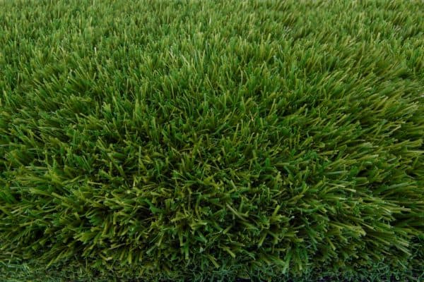 תמונה 2  דשא סינטטי - פשוט ירוק - Topa