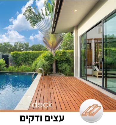 תמונת קטגוריה עצים ודקים