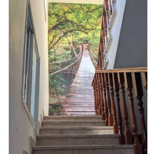 גשר עצים - מדרגות