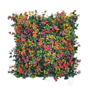 קיר צמחיה מלאכותי - HOLLY הולי - פצ'יסנדרה צבעונית