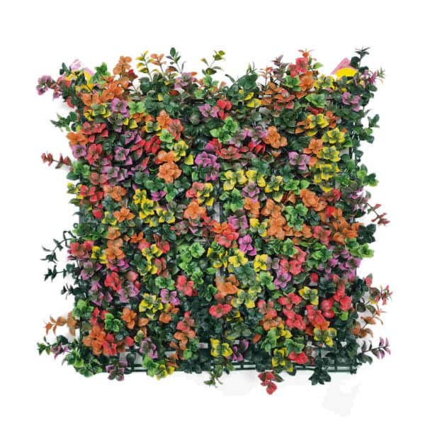 קיר צמחיה מלאכותי - HOLLY הולי - פצ'יסנדרה צבעונית