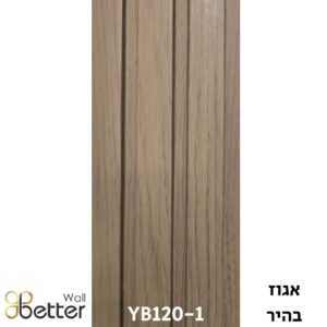 YB120-1 (2)
